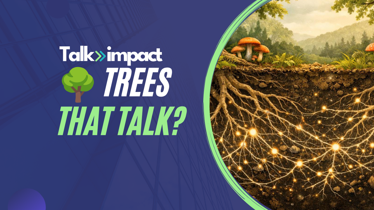 The Secret Conversations Happening Beneath Every Forest